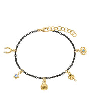 Load image into Gallery viewer, Monica Rich Kosann “My Lucky Charm” Black Steel Chain Bracelet