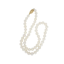 Load image into Gallery viewer, Royal Collection Near Round Pearl Necklace