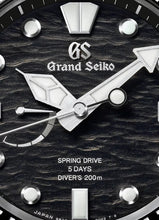 Load image into Gallery viewer, Grand Seiko Evolution 9 SLGA015