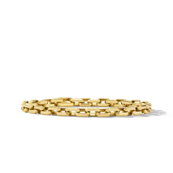 Streamline Heirloom Link Bracelet in 18K Yellow Gold