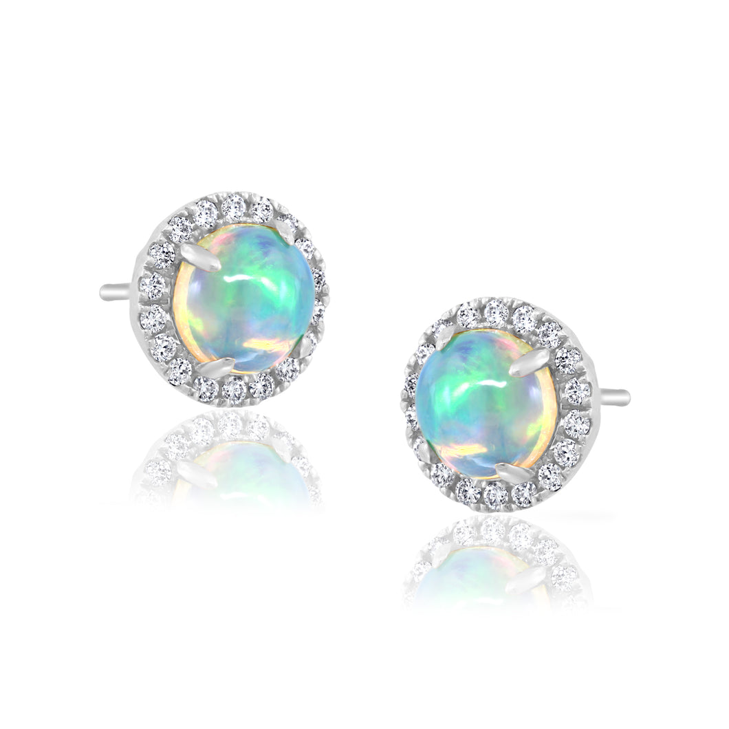 David Kord 14K White Gold Opal Earrings