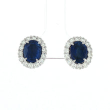 Load image into Gallery viewer, Royal Collection Blue Sapphire Halo Stud Earrings in White Gold
