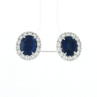 Royal Collection Blue Sapphire Halo Stud Earrings in White Gold