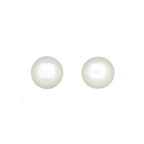 Royal Collection Pearl Button Studs