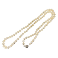 Royal Collection Fresh Water Pearl Strand Necklace