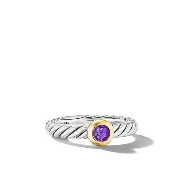 Petite Cable Ring in Sterling Silver with 14K Yellow Gold and Amethyst, 2.8mm