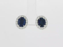 Load and play video in Gallery viewer, Royal Collection Blue Sapphire Halo Stud Earrings in White Gold
