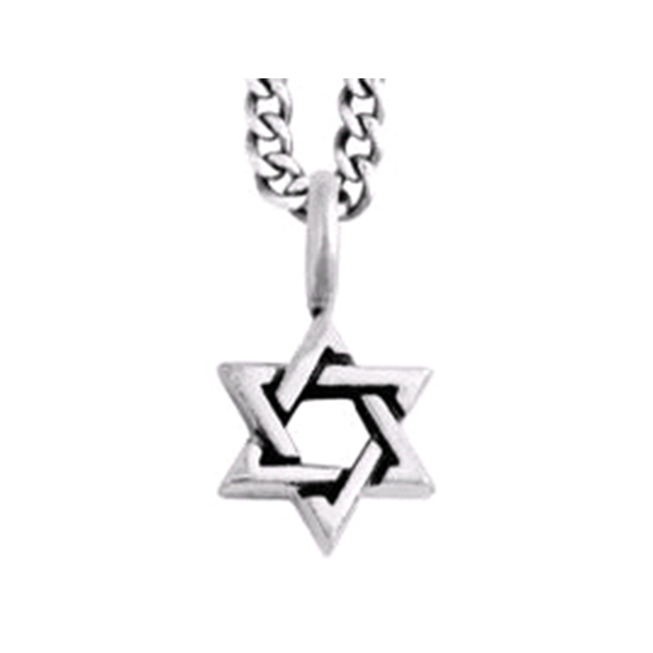 King Baby Sterling Silver Small Star of David Necklace