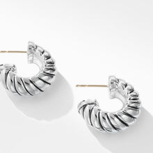 Load image into Gallery viewer, Cable Classics Earrings

