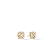 Petite Chatelaine Pave Bezel Stud Earrings in 18K Yellow Gold with Champagne Citrine