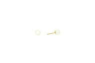 Royal Collection Pearl Stud Earrings