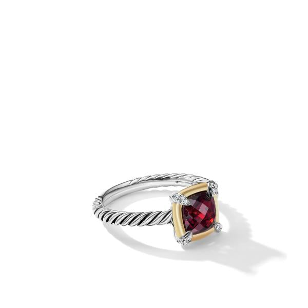 Petite Chatelaine Ring with Garnet, 18K Yellow Gold Bezel and Pave Diamonds