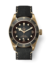 Load image into Gallery viewer, black-bay-bronze
